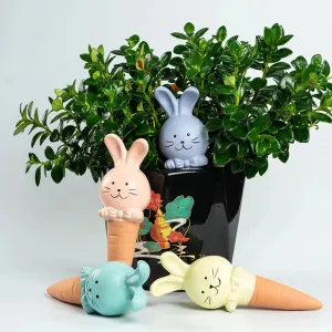 Bunny Plant Watering Stakes