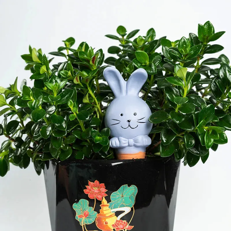 Bunny Plant Watering Stakes